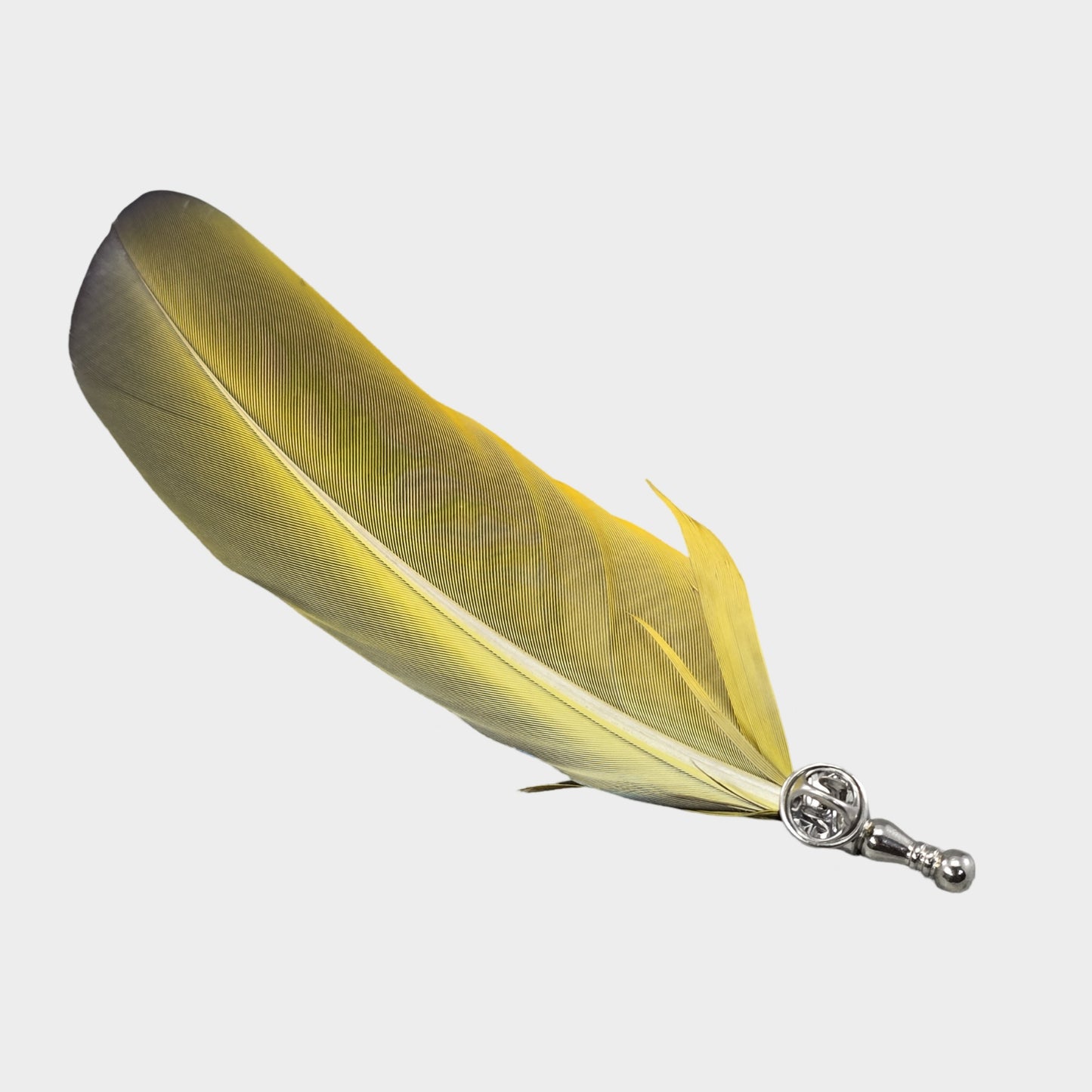 Blue Macaw parrot single feather hat pin