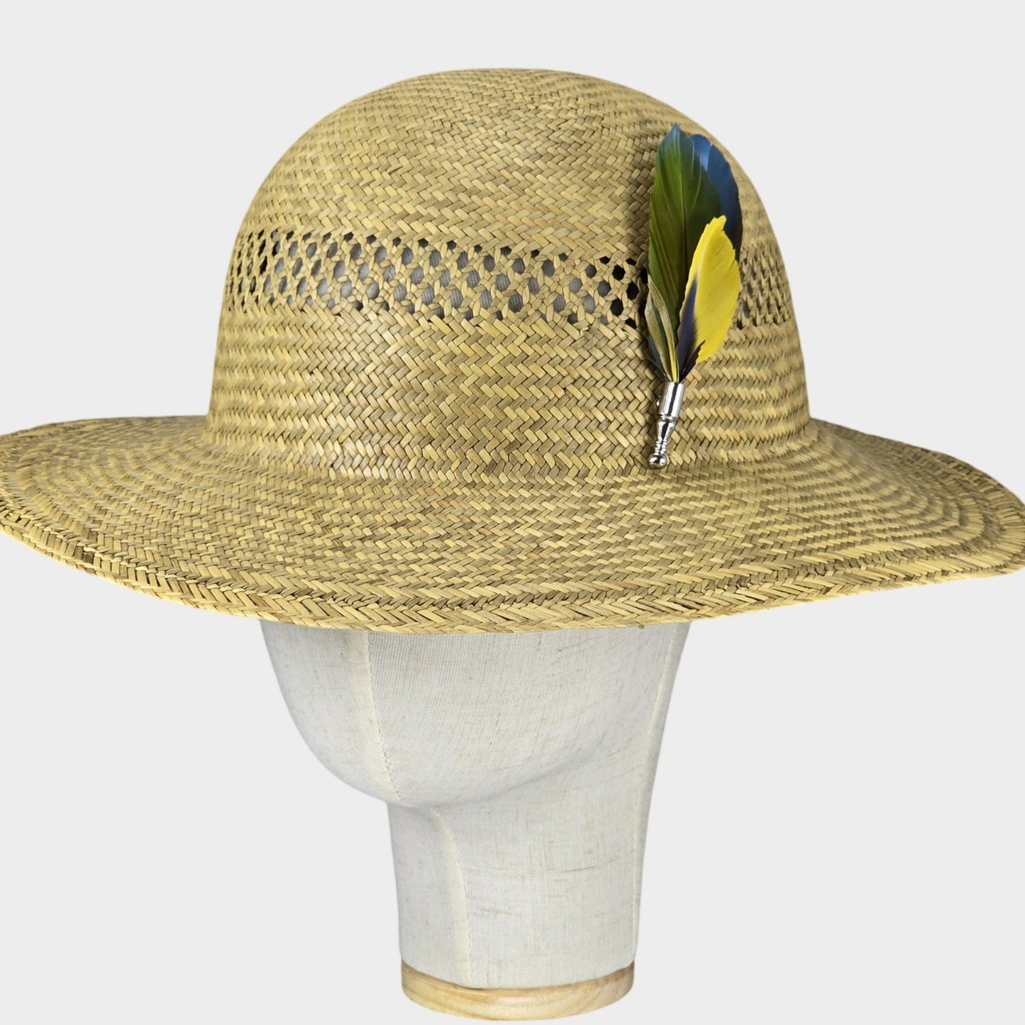 parrot feathers hat adornment