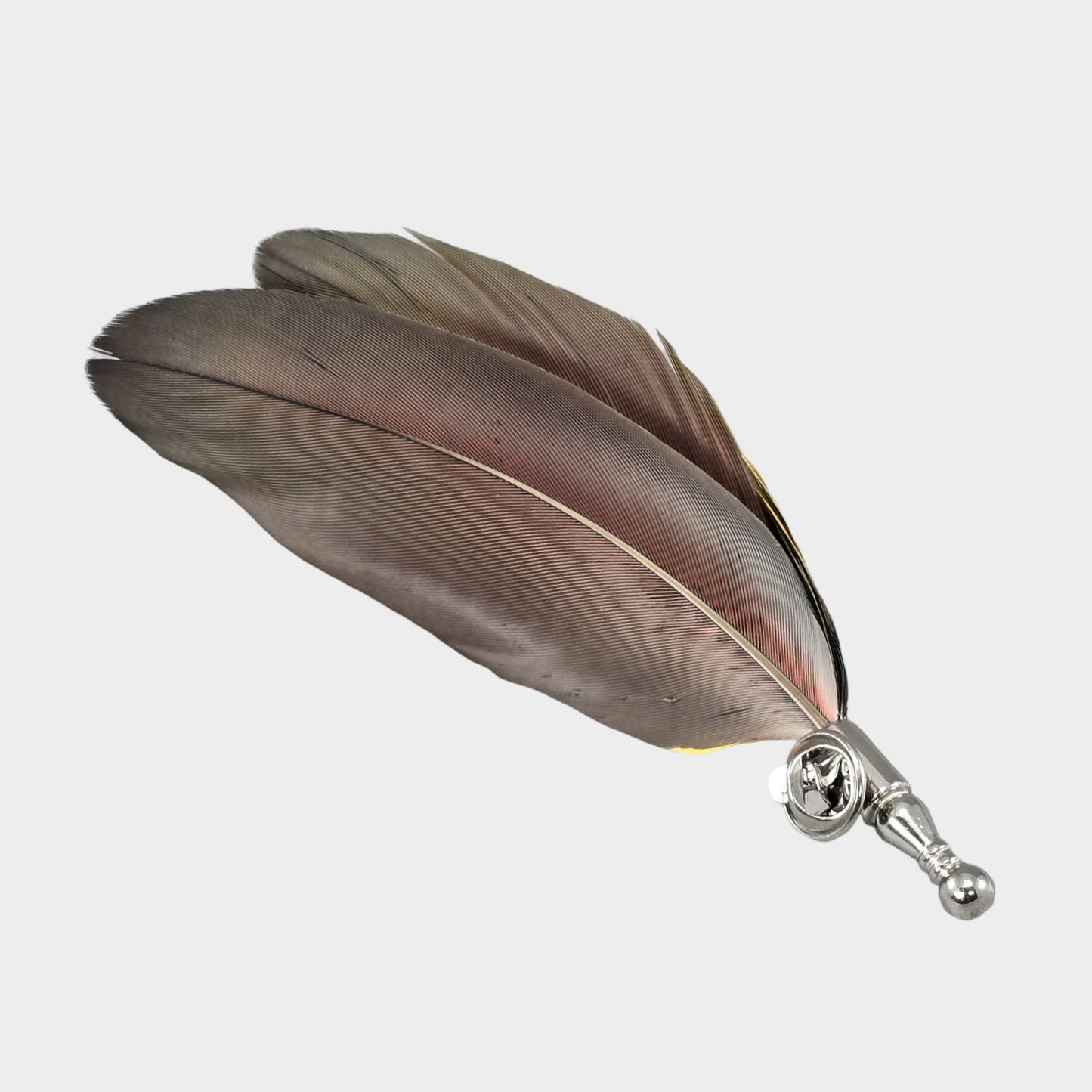 Colourful parrot feathers hat adornment