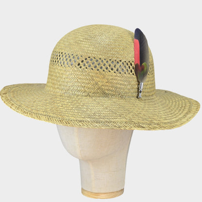 Amazon parrot feather hat pin