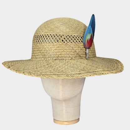 Macaw parrot feathers hat adornment