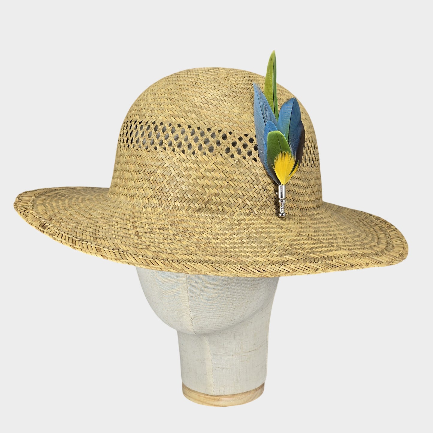 Parrot feathers hat pin