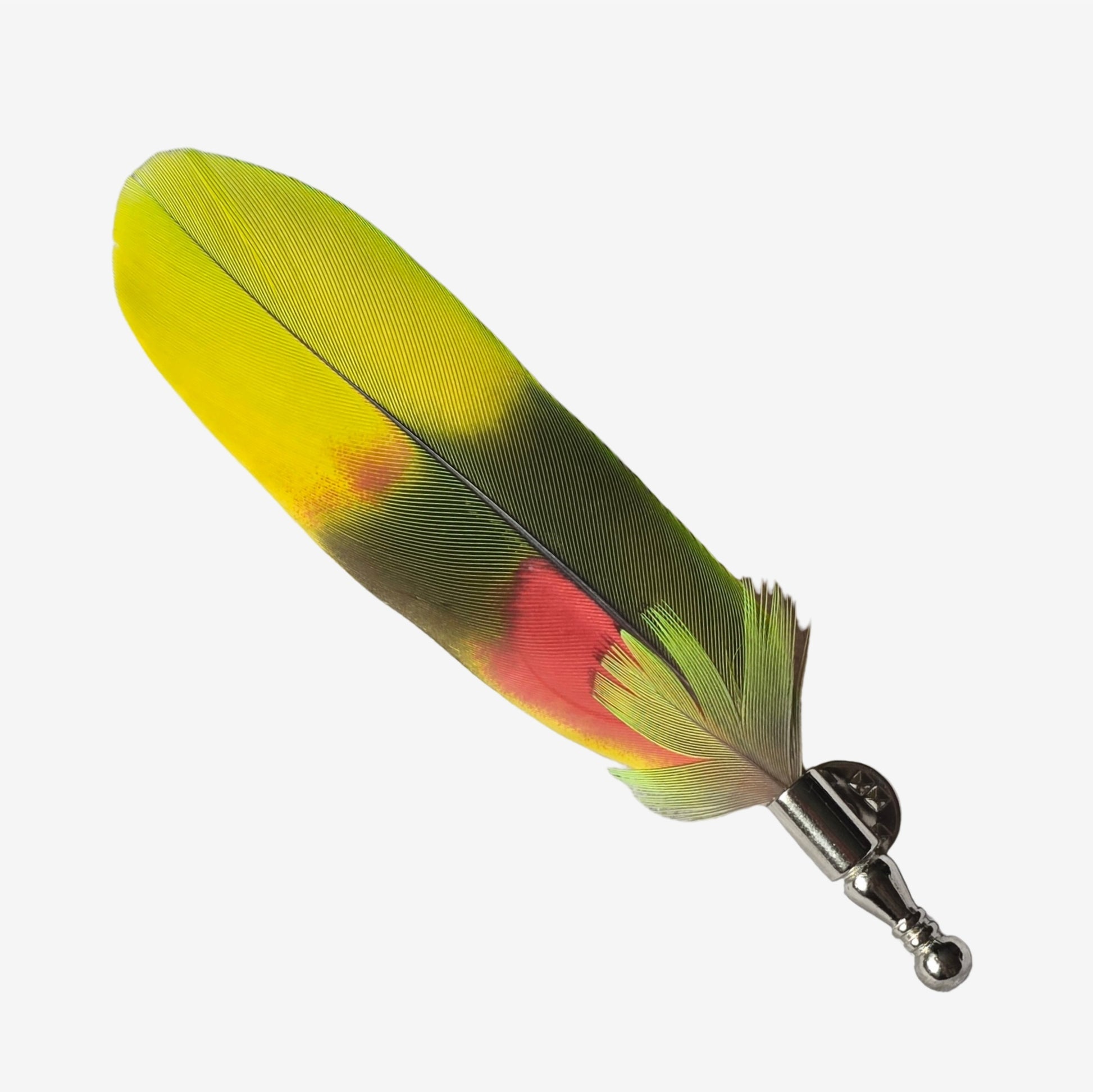 amazon parrot feather hat pin