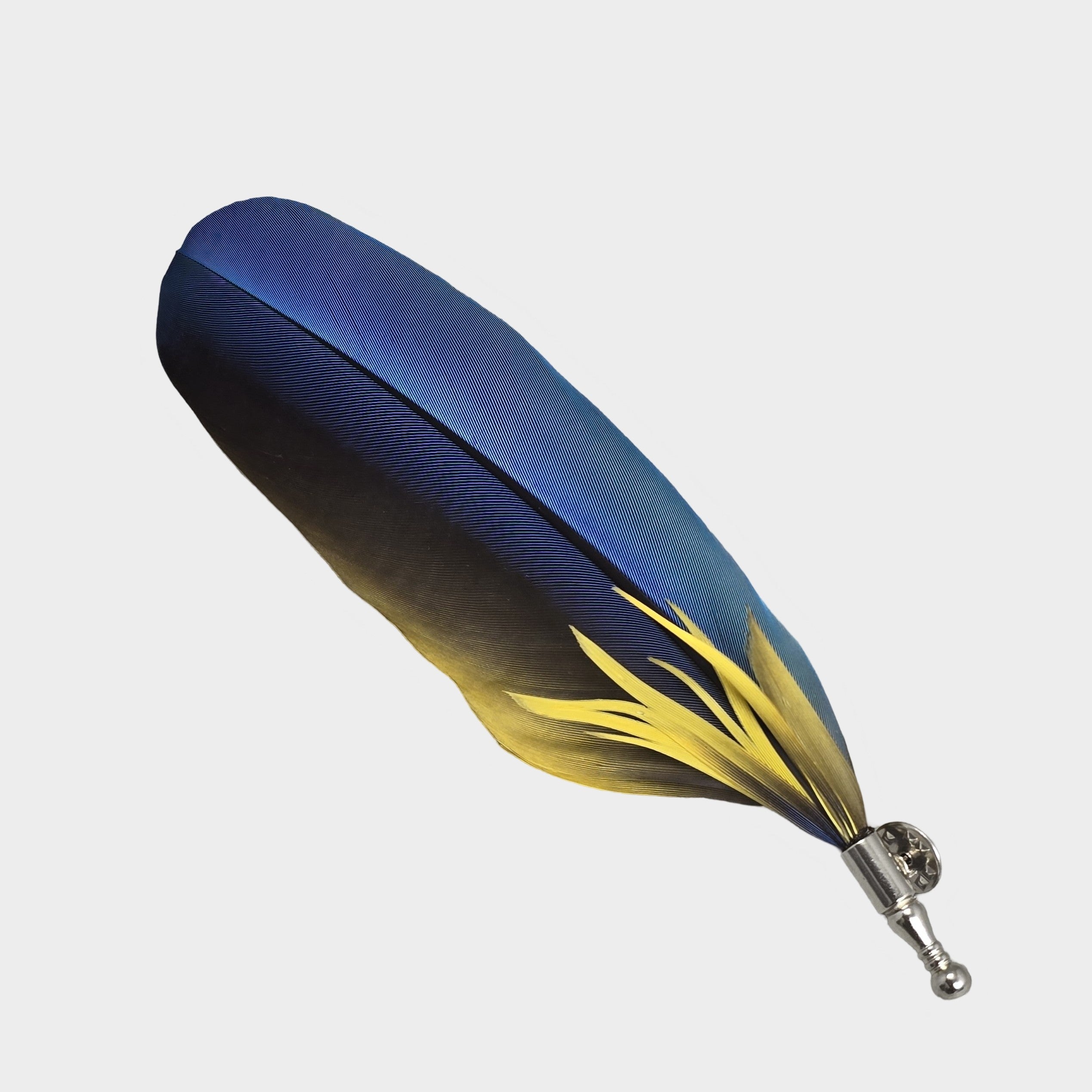 Blue Macaw parrot single feather hat pin