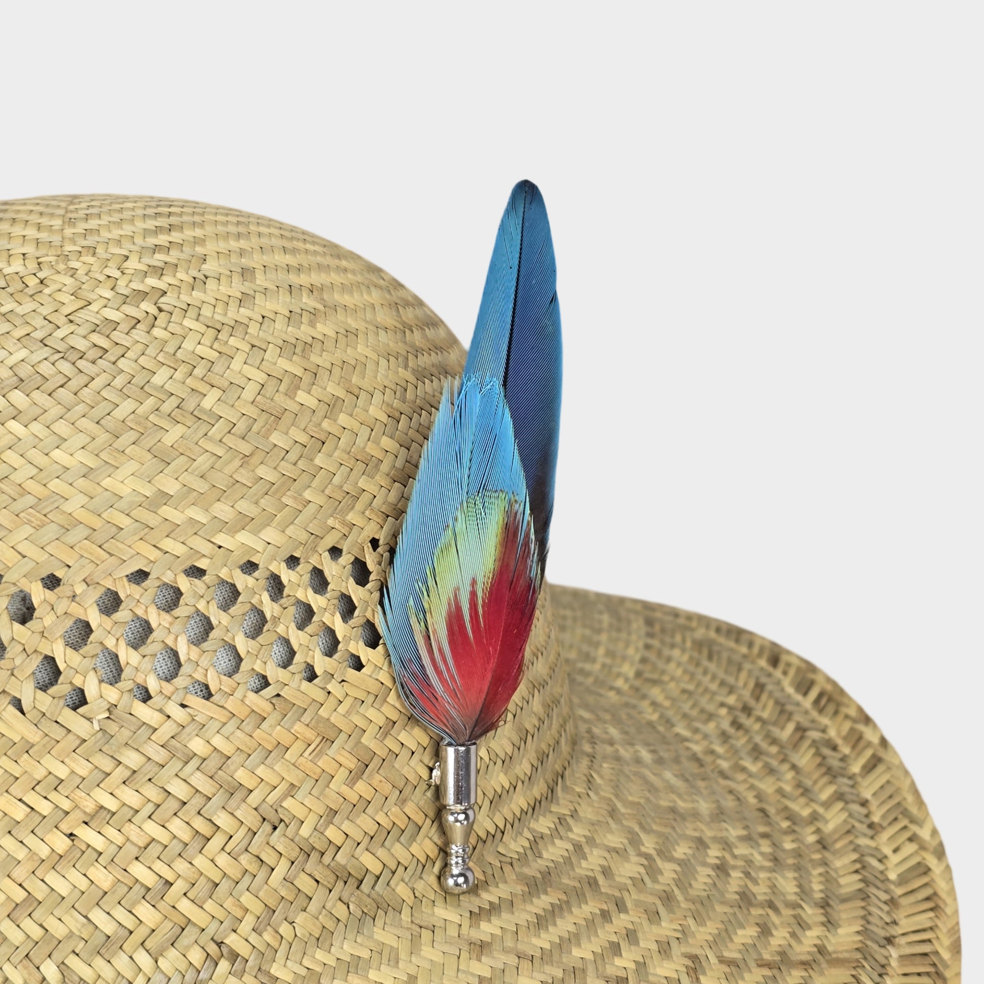 blue red macaw parrot feathers ha pin