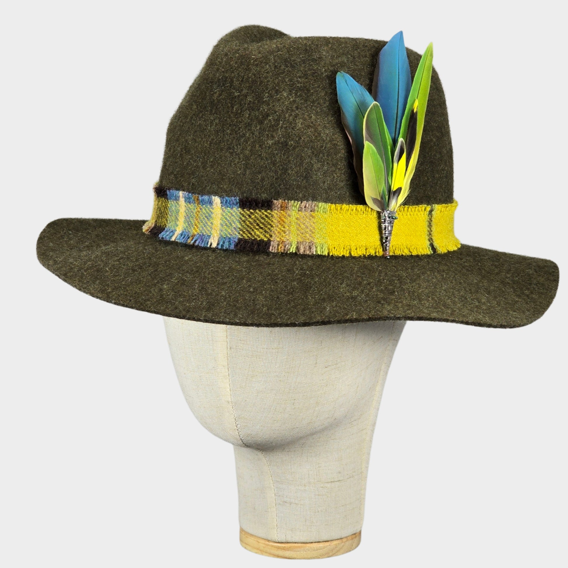 Hat band with parrot feathers
