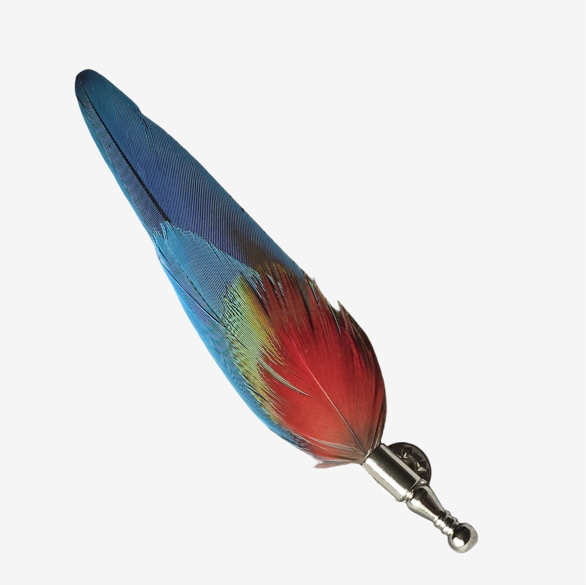 Macaw parrot feathers hat adornment