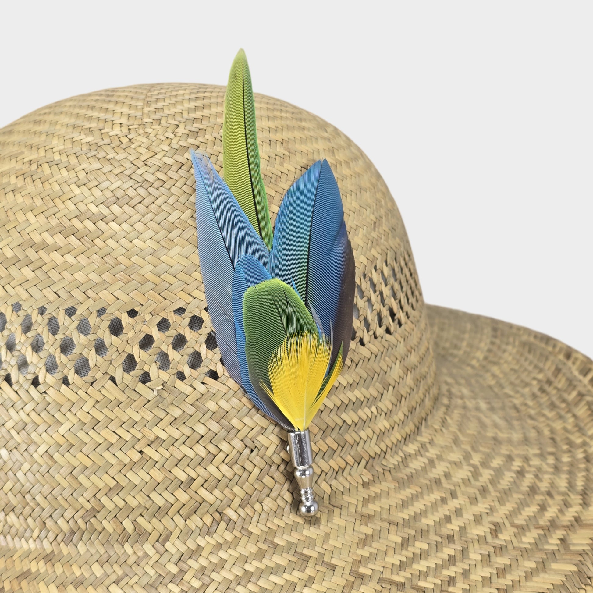 parrot feathers hat adornment