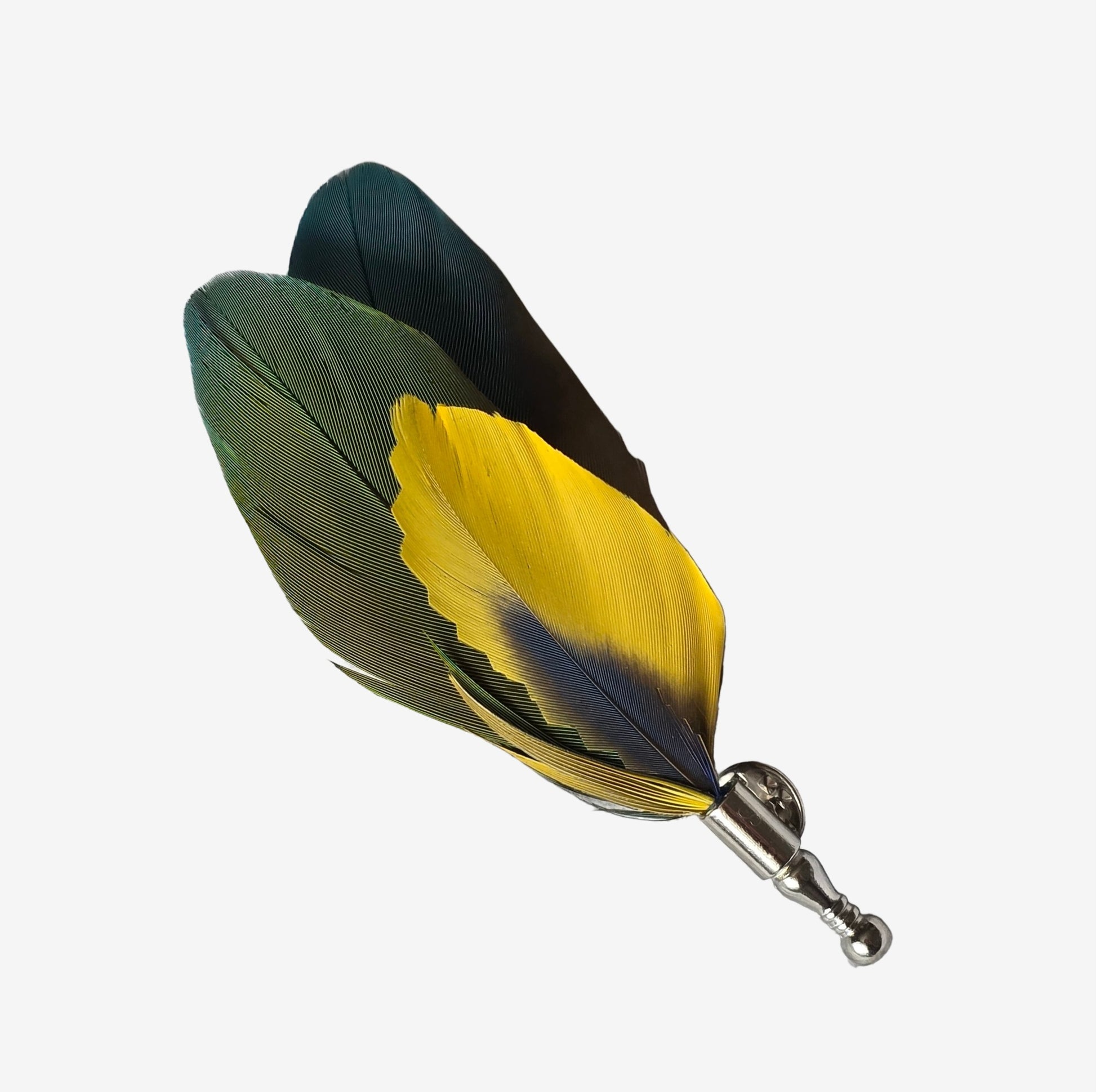 parrot feathers hat pin