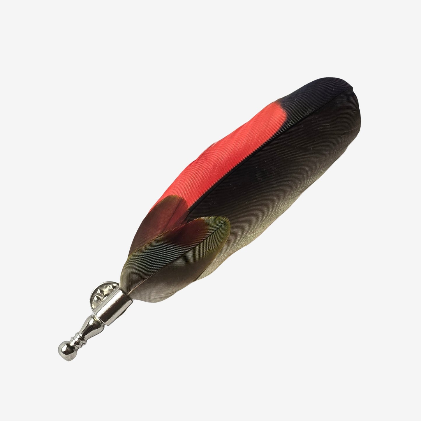 amazon parrot feather hat pin